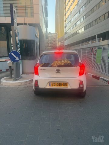 קיה פיקנטו