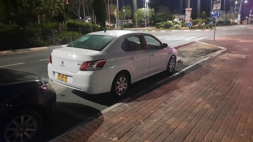 פיג'ו 301