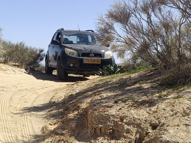 דייהטסו טריוס