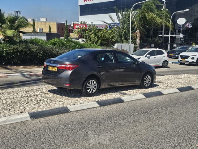 טויוטה קורולה