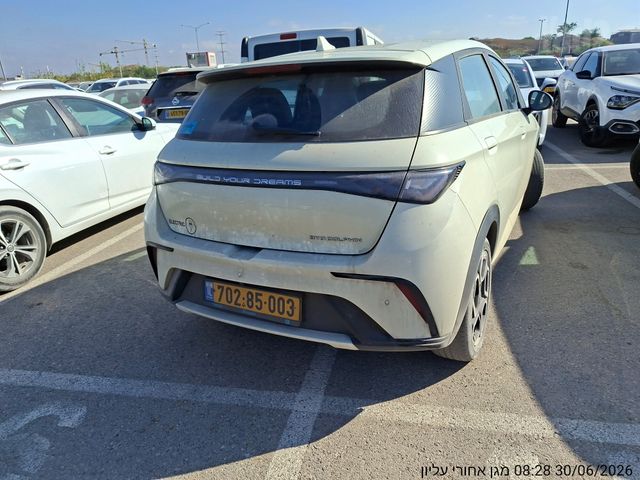בי.ווי.די דולפין