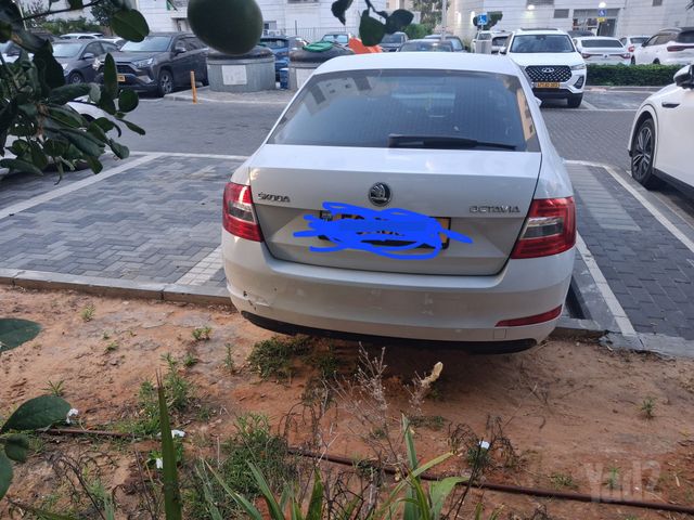 סקודה אוקטביה