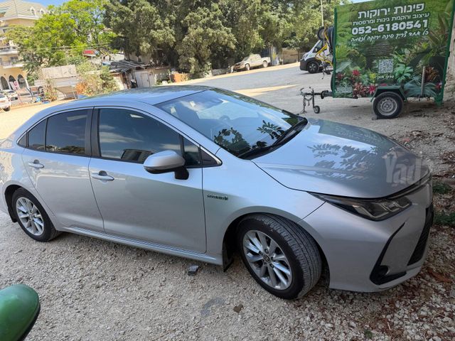 טויוטה קורולה