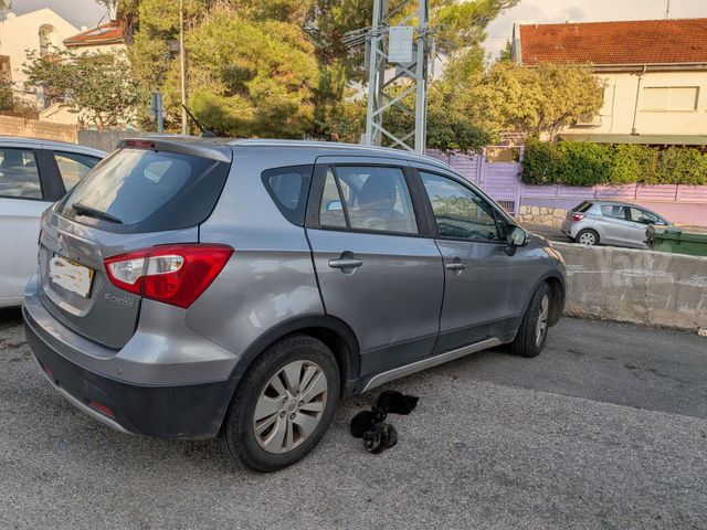 מודעת רכב סוזוקי קרוסאובר