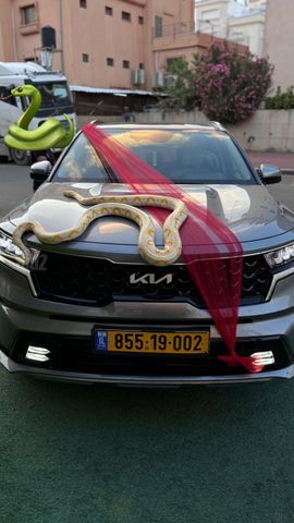 קיה סורנטו