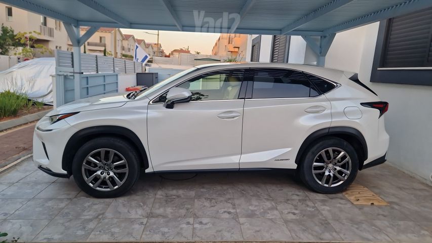 לקסוס NX