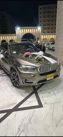 ב מ וו X5
