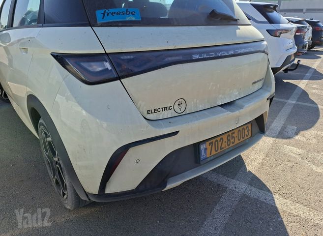 בי.ווי.די דולפין