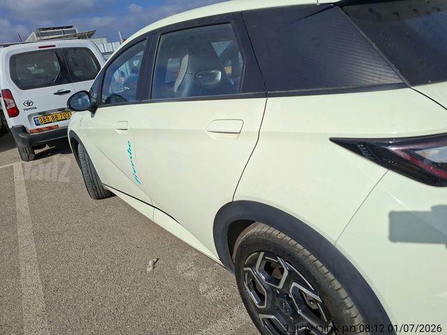 בי.ווי.די דולפין