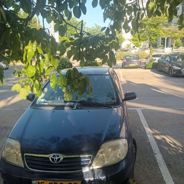 טויוטה קורולה