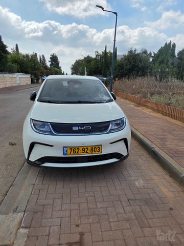 בי.ווי.די דולפין