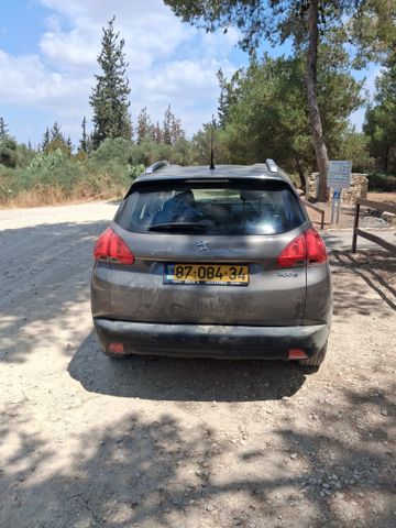פיג'ו 2008