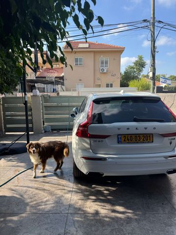 וולוו XC60