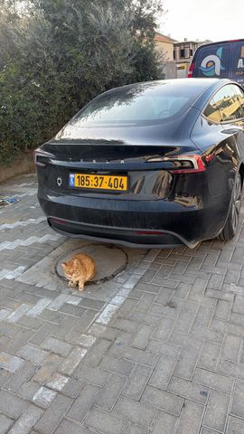טסלה מודל 3