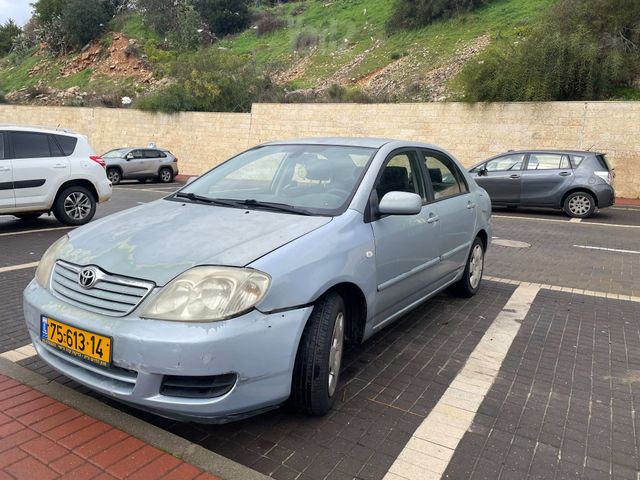 טויוטה קורולה