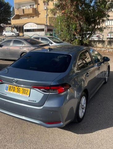 טויוטה קורולה