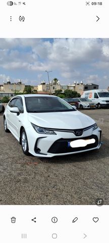 טויוטה קורולה