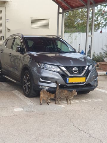 ניסאן קשקאי