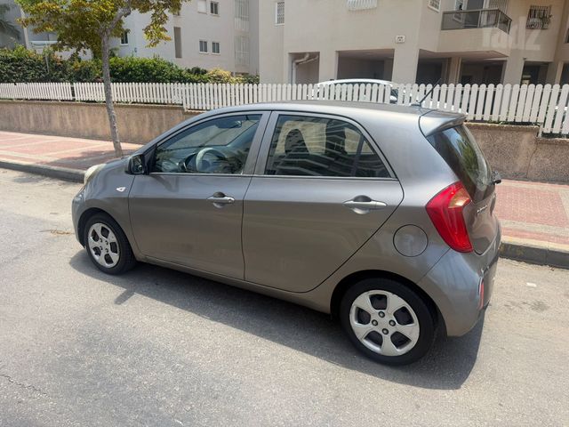 קיה פיקנטו