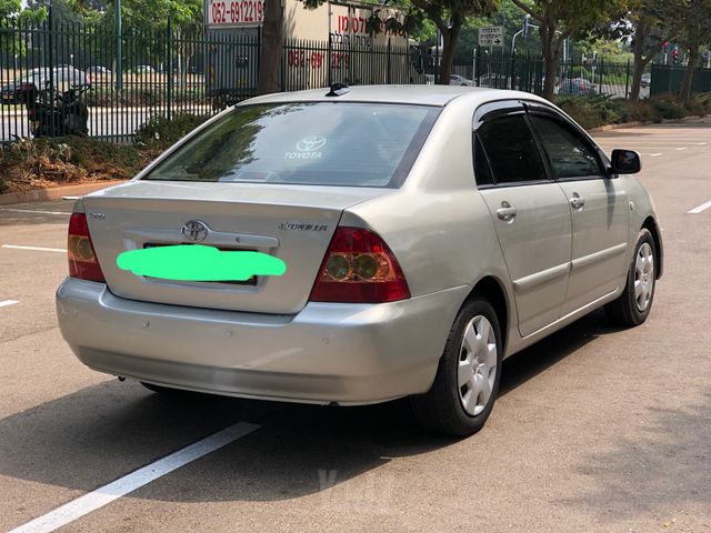 טויוטה קורולה