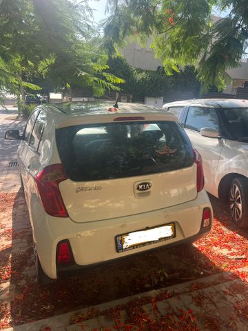 קיה פיקנטו