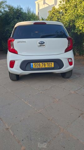 קיה פיקנטו