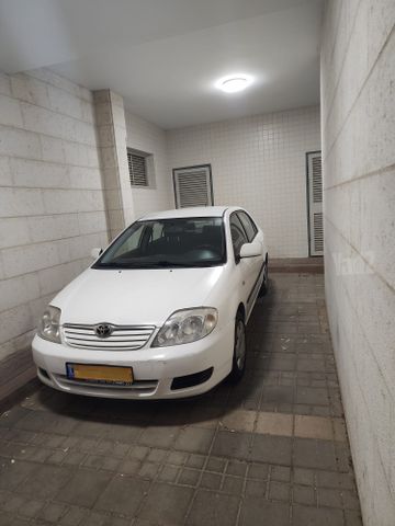 טויוטה קורולה