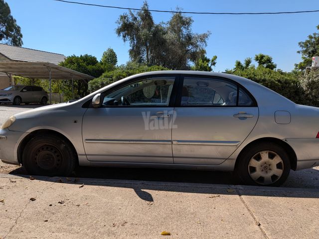 טויוטה קורולה