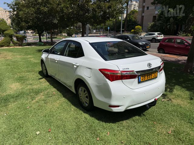 טויוטה קורולה
