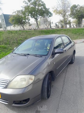 טויוטה קורולה