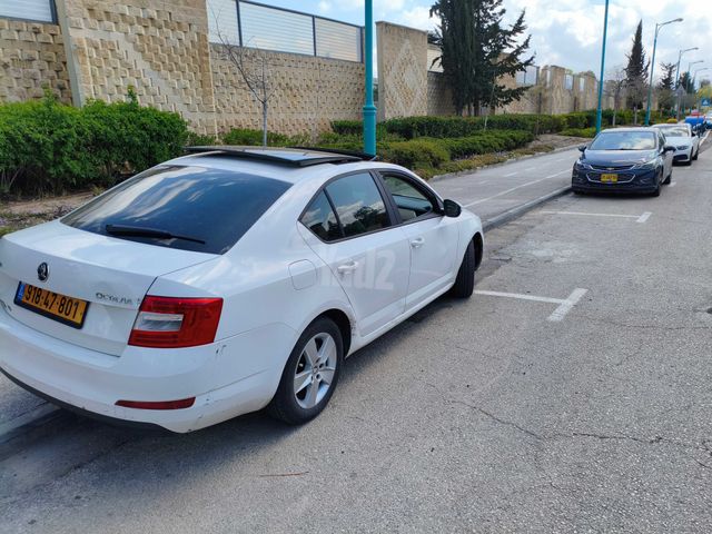 סקודה אוקטביה