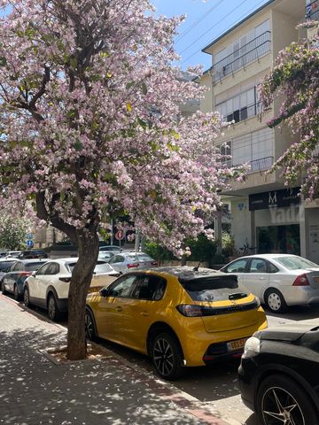 מודעת רכב פיג'ו 208