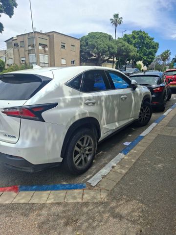 לקסוס NX
