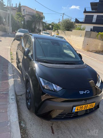 בי.ווי.די דולפין סרף