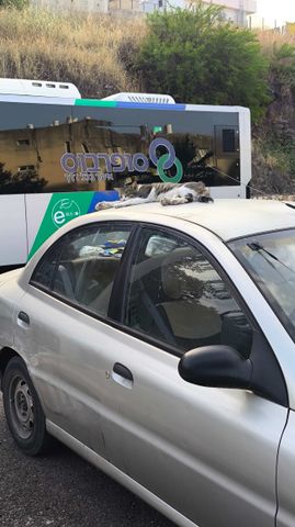 קיה ריו