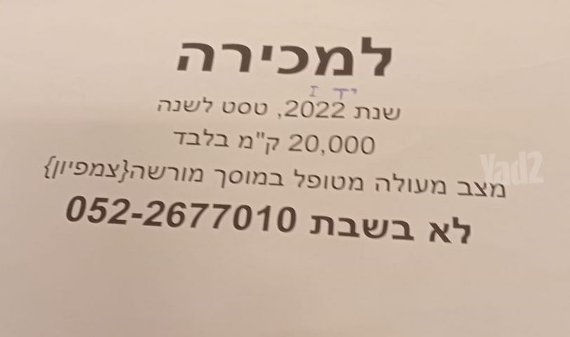 סיאט ארונה