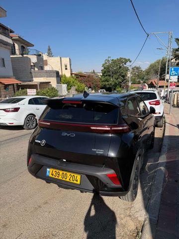 בי.ווי.די דולפין סרף
