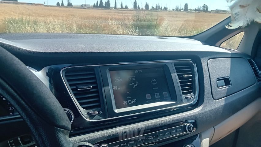 קיה קרניבל