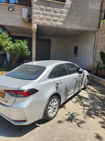 טויוטה קורולה