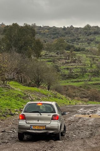 טויוטה יאריס