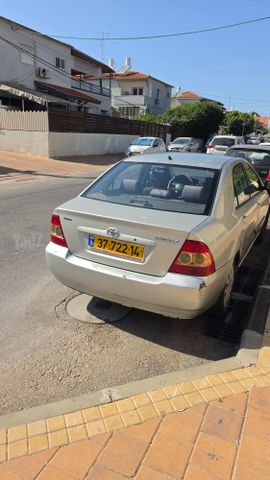טויוטה קורולה