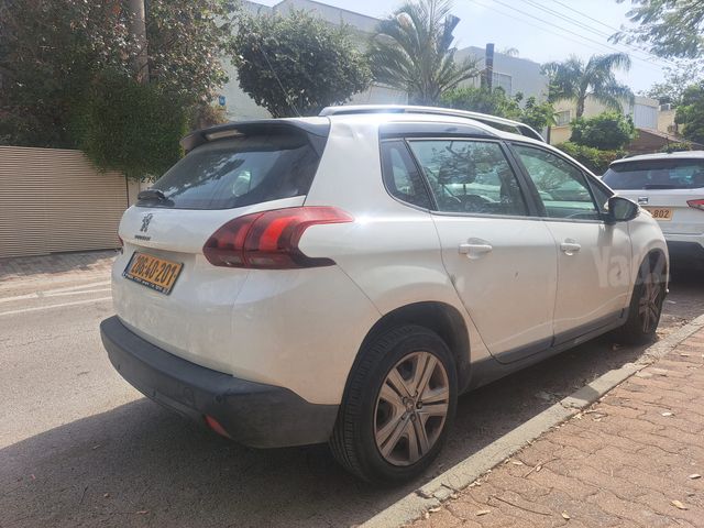 פיג'ו 2008