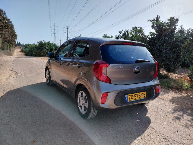 קיה פיקנטו