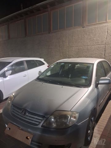 טויוטה קורולה