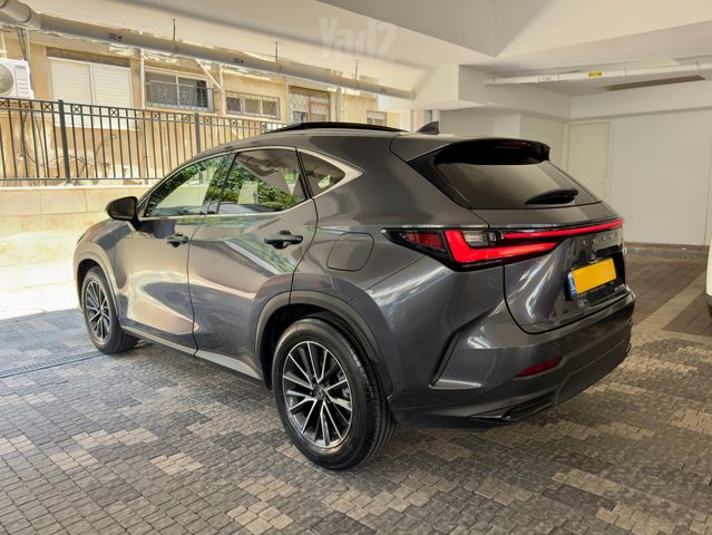 לקסוס NX