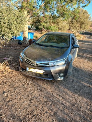 טויוטה קורולה