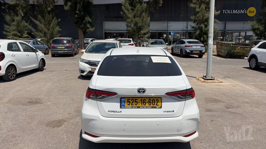 טויוטה קורולה