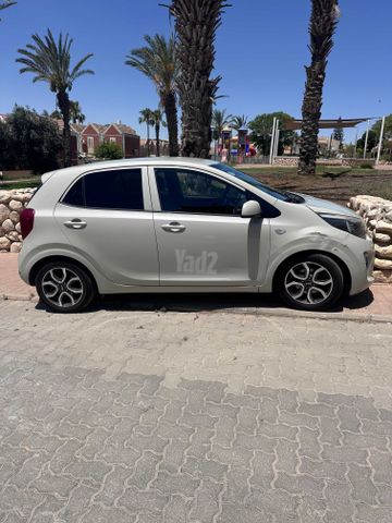 קיה פיקנטו