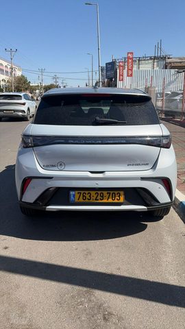 בי.ווי.די דולפין
