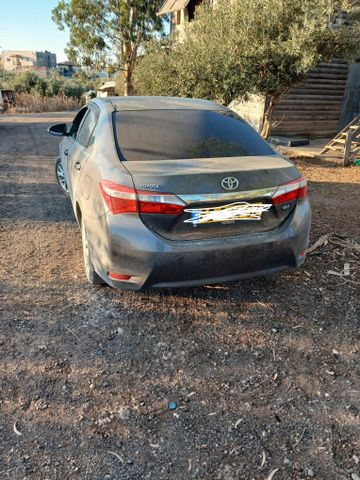 טויוטה קורולה